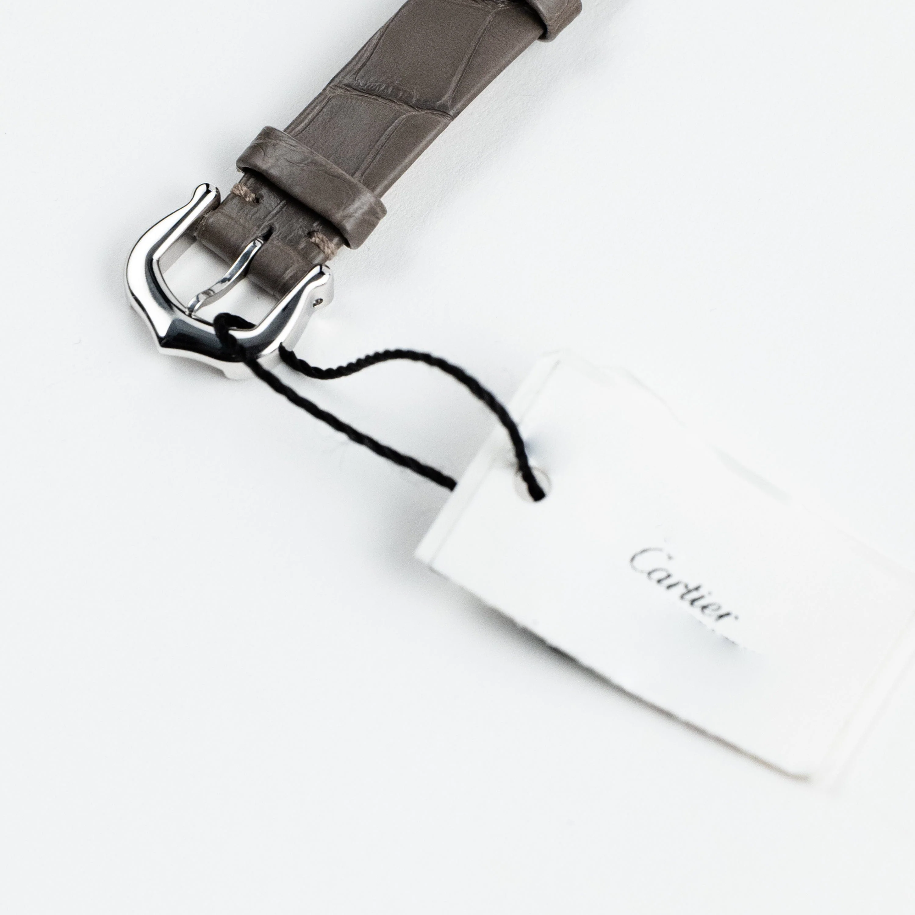 Cartier Baignoire Allongée WJBA0007 White Gold Silver Dial Diamond Bezel (2026) - Image 13