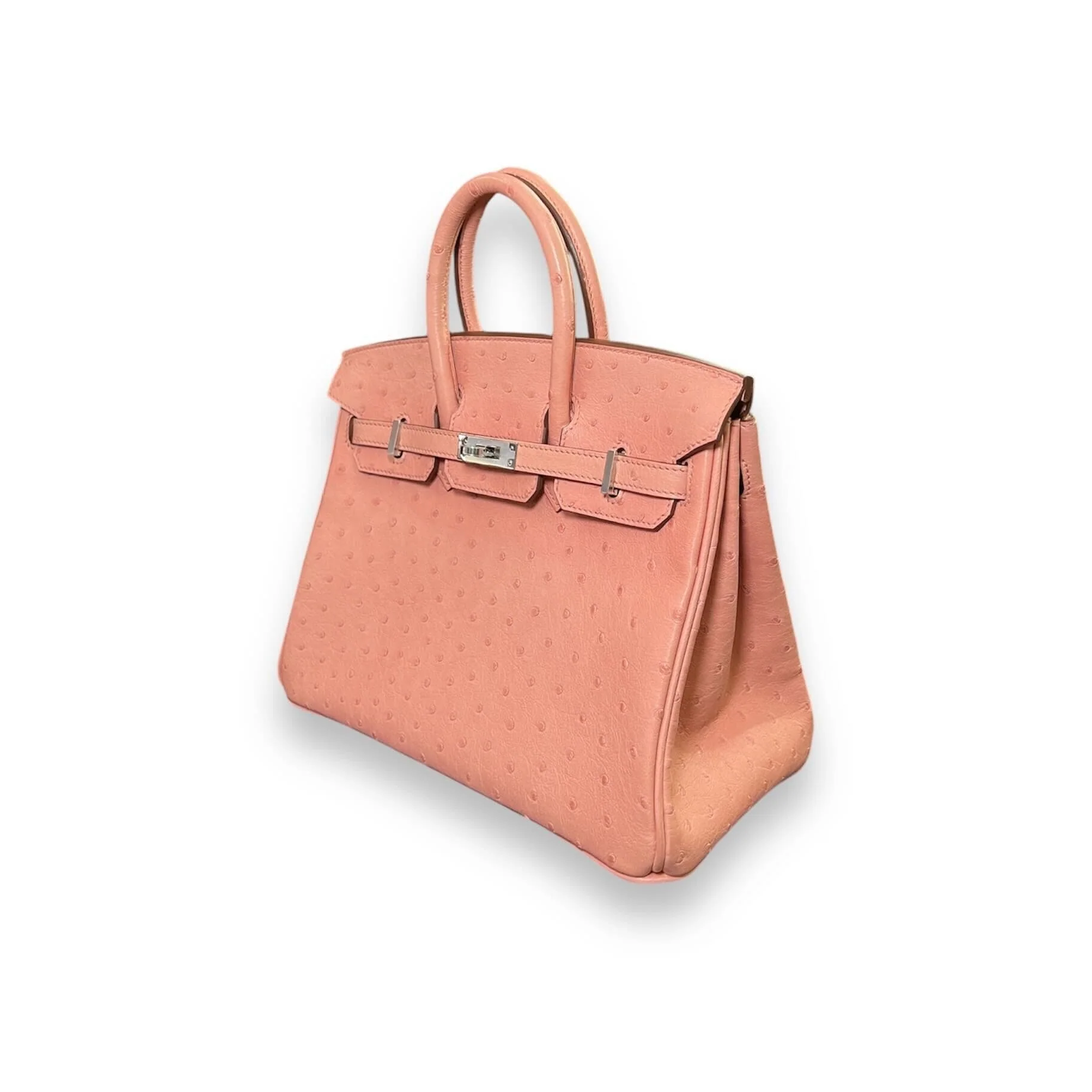 Hermès Terre Cuite Birkin 25 Ostrich Palladium Hardware - Image 3
