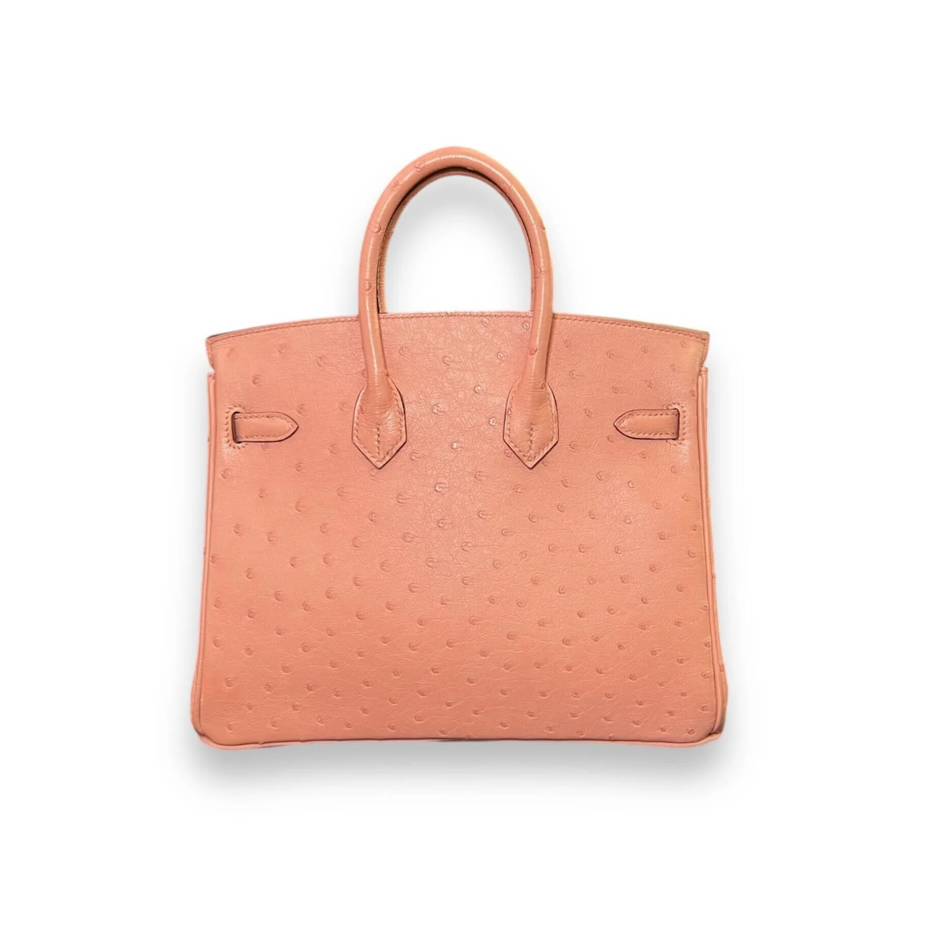 Hermès Terre Cuite Birkin 25 Ostrich Palladium Hardware - Image 5