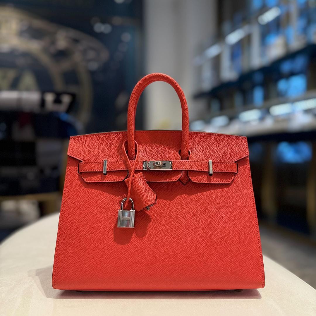 Hermès Capucine Birkin Sellier 25 Epsom Palladium Hardware - Image 2