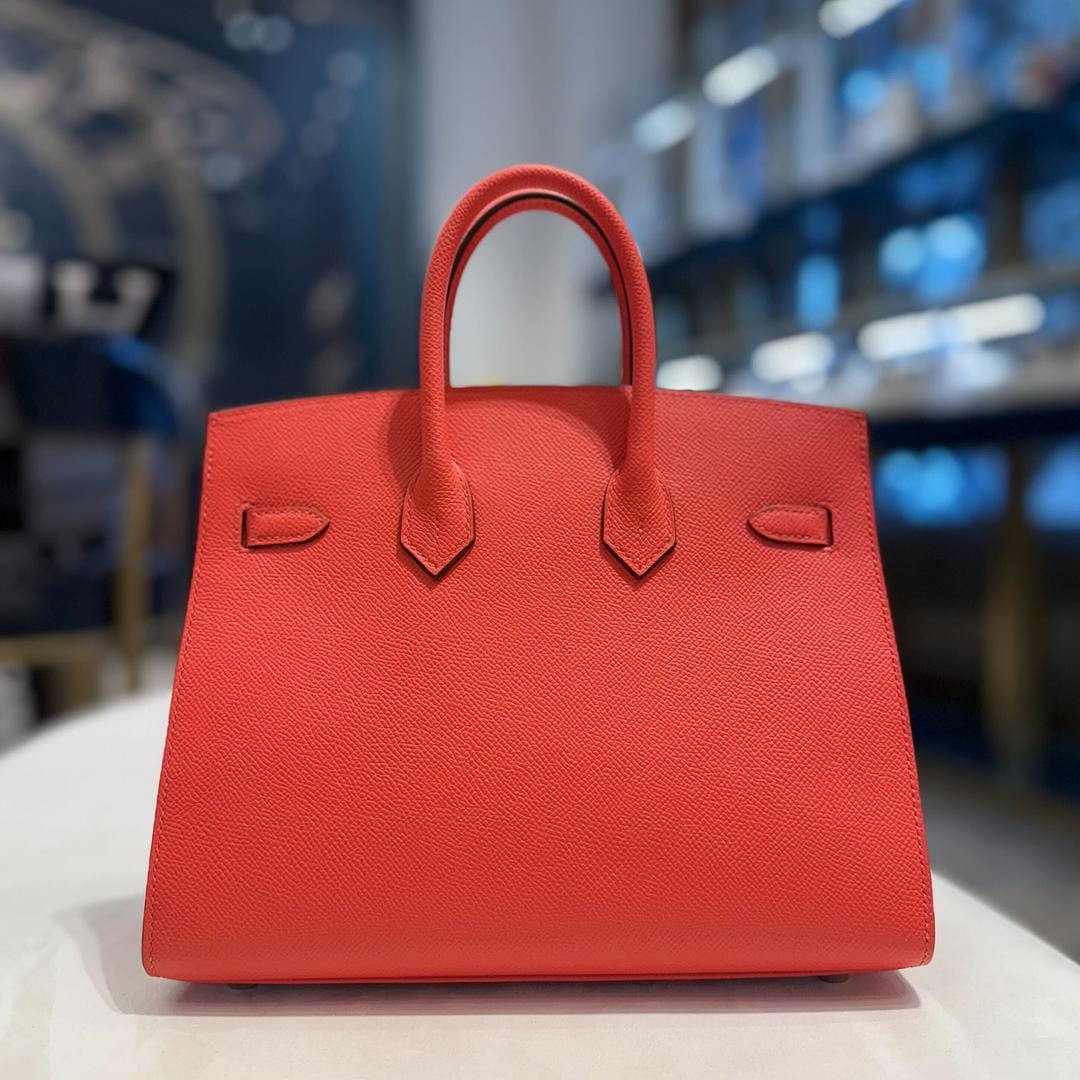 Hermès Capucine Birkin Sellier 25 Epsom Palladium Hardware - Image 5