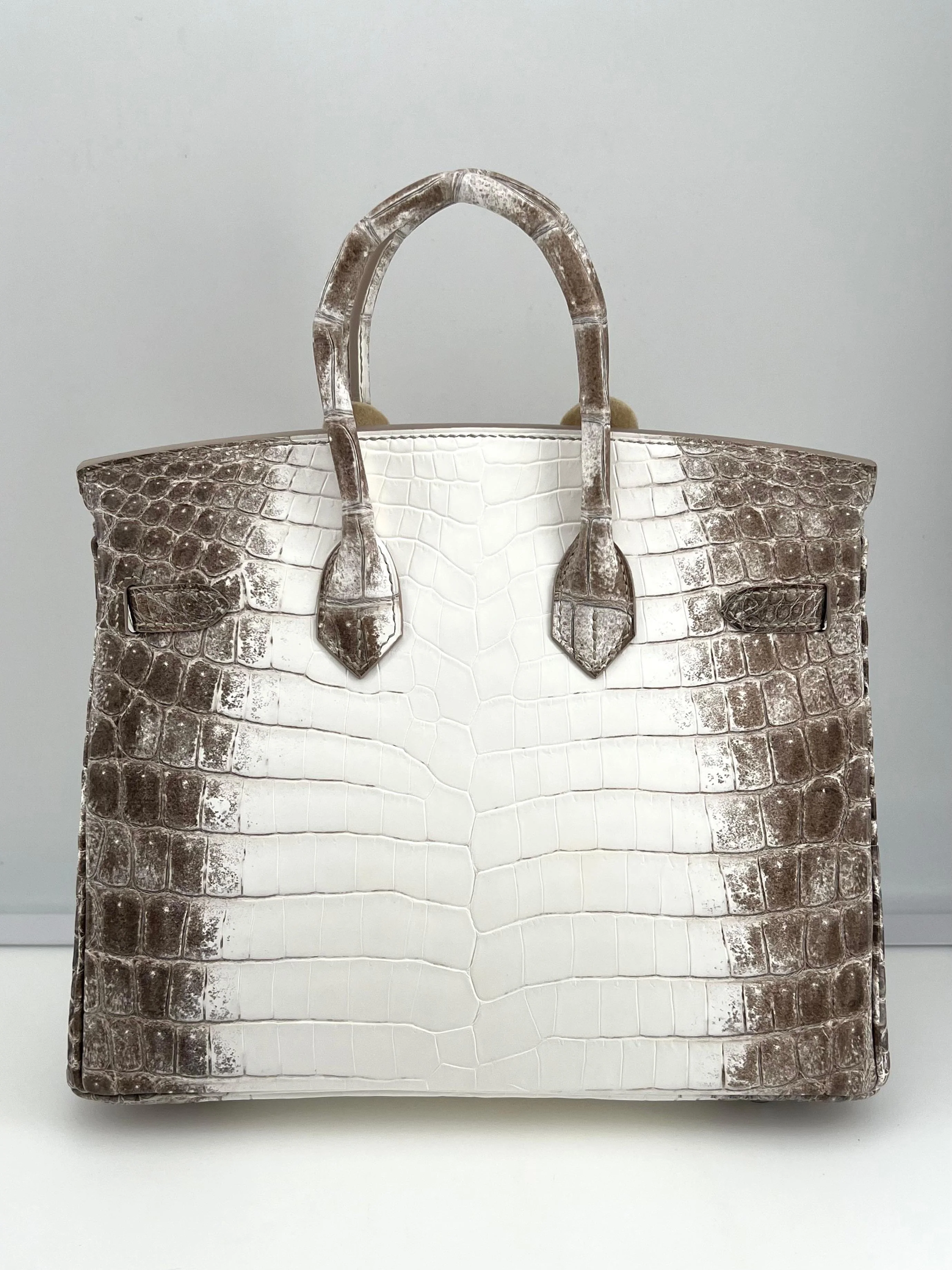 Hermès Himalaya Birkin 25 Niloticus Crocodile Diamond Encrusted Palladium Hardware - Image 3