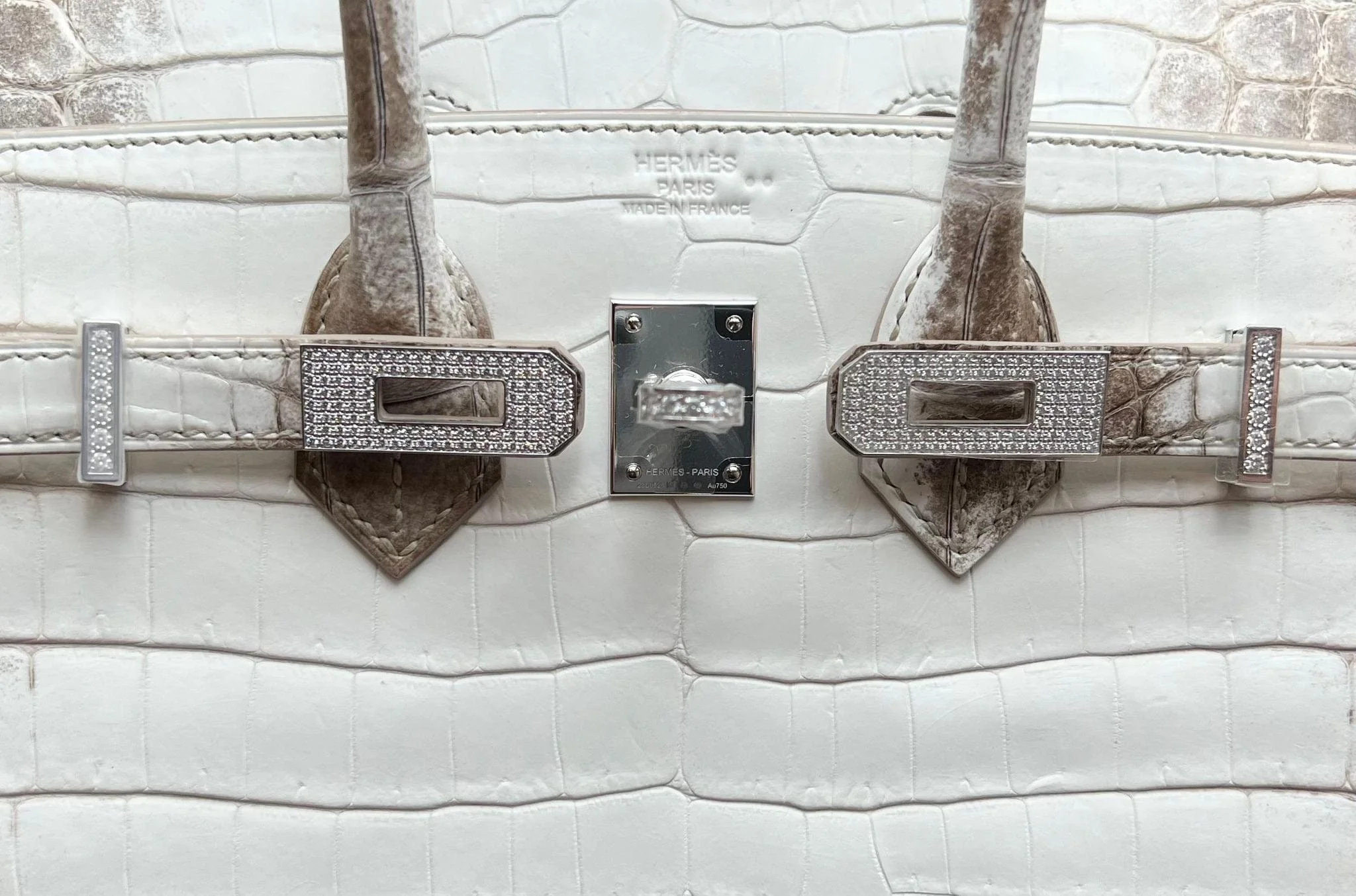 Hermès Himalaya Birkin 25 Niloticus Crocodile Diamond Encrusted Palladium Hardware - Image 4