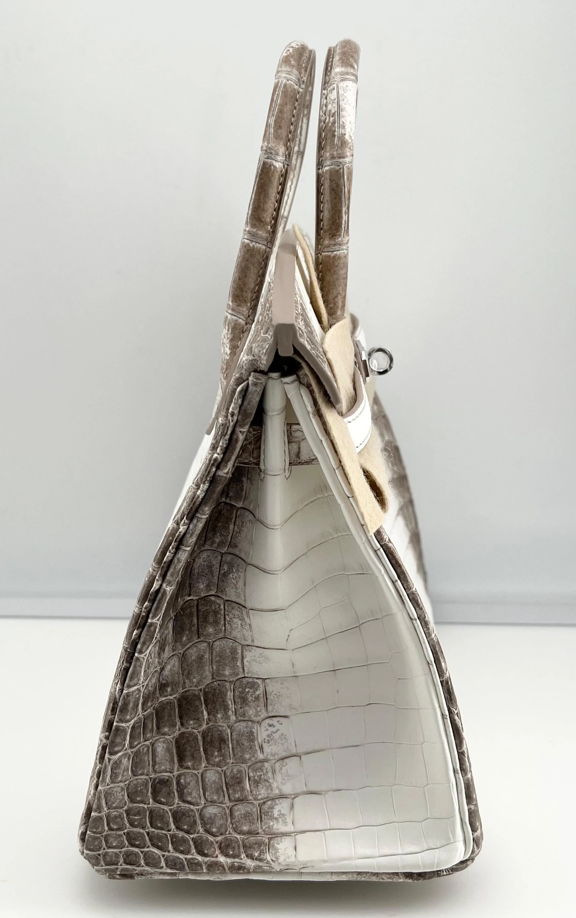 Hermès Himalaya Birkin 25 Niloticus Crocodile Diamond Encrusted Palladium Hardware - Image 5