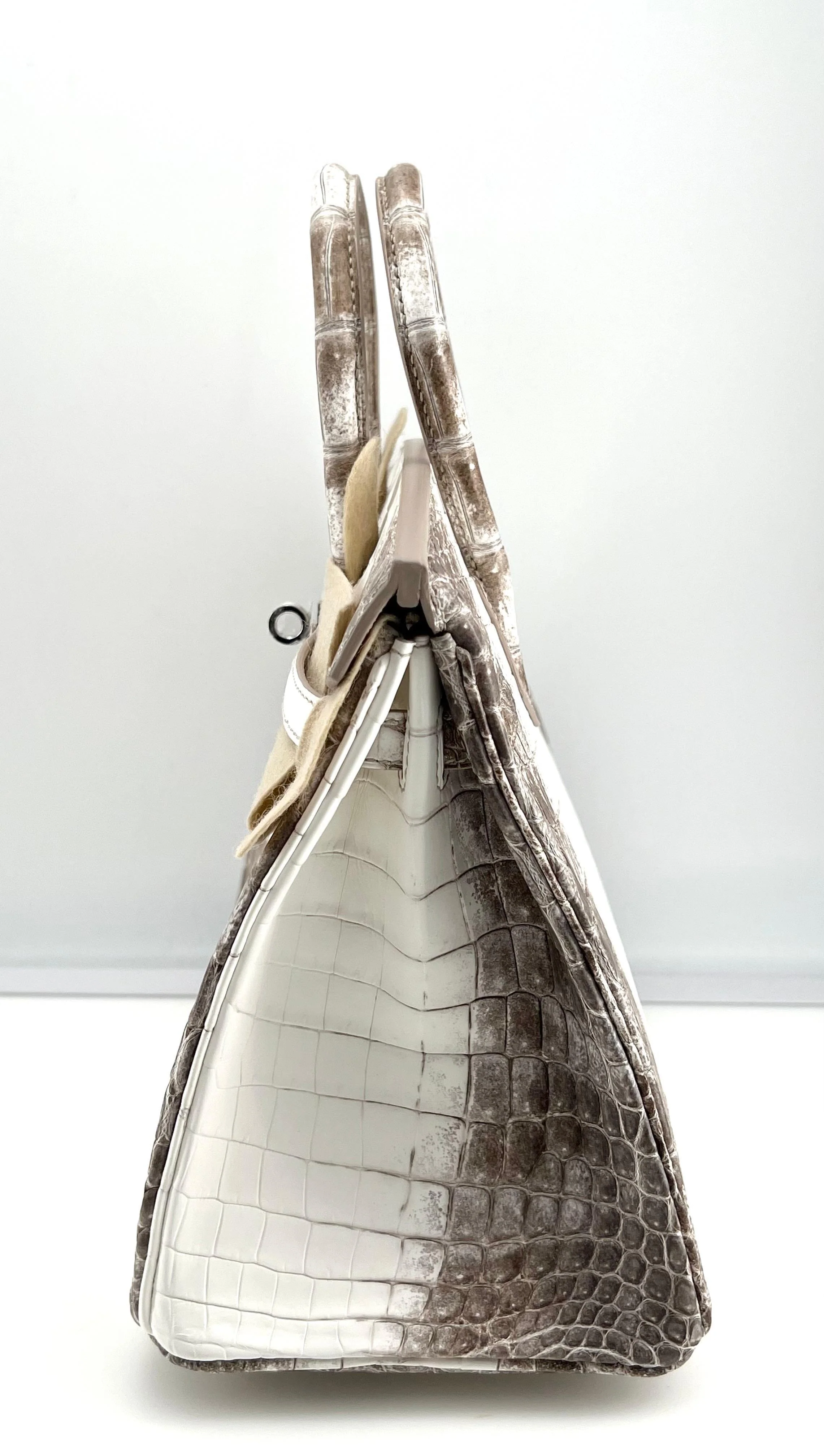 Hermès Himalaya Birkin 25 Niloticus Crocodile Diamond Encrusted Palladium Hardware - Image 6
