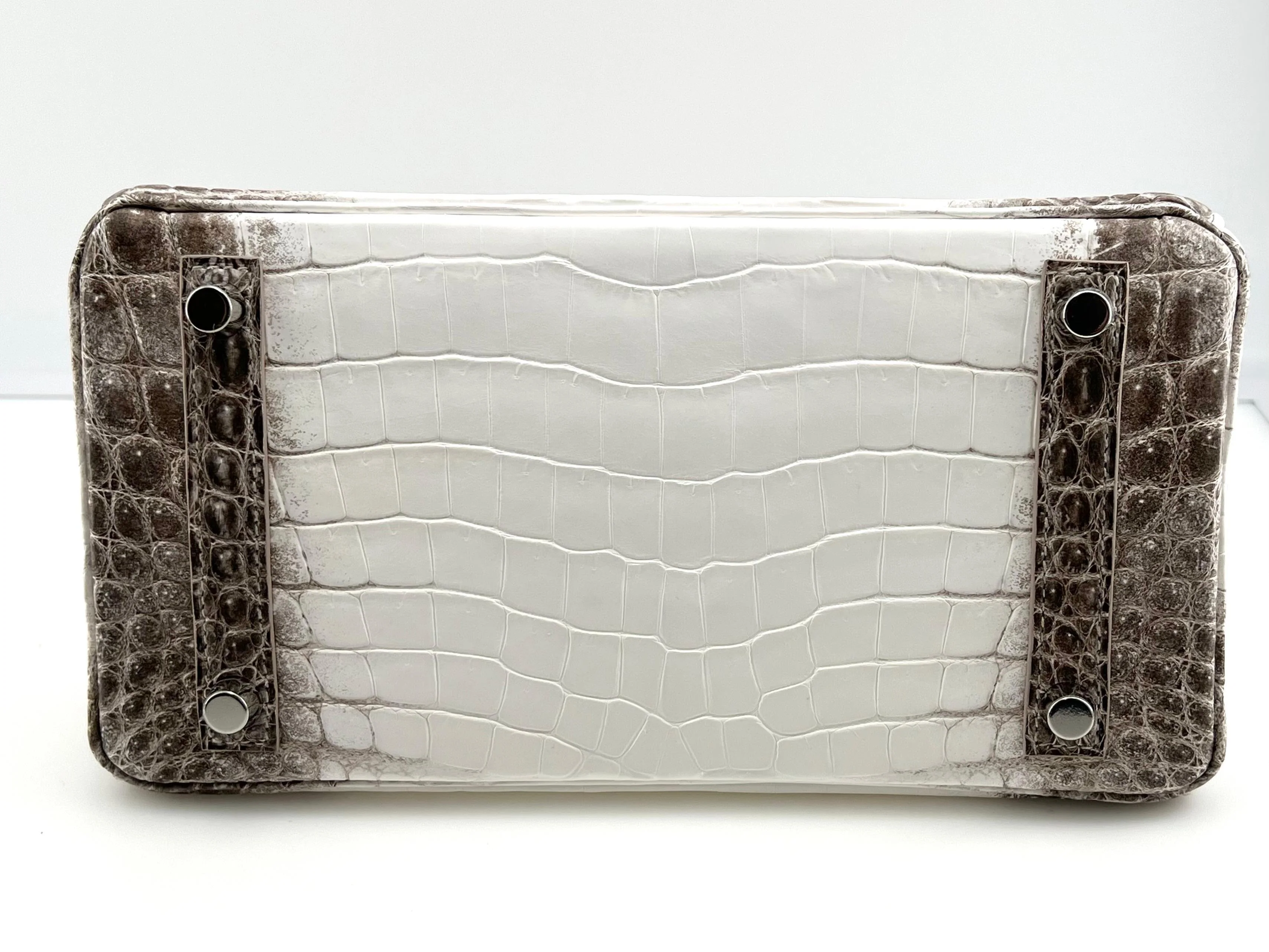 Hermès Himalaya Birkin 25 Niloticus Crocodile Diamond Encrusted Palladium Hardware - Image 7
