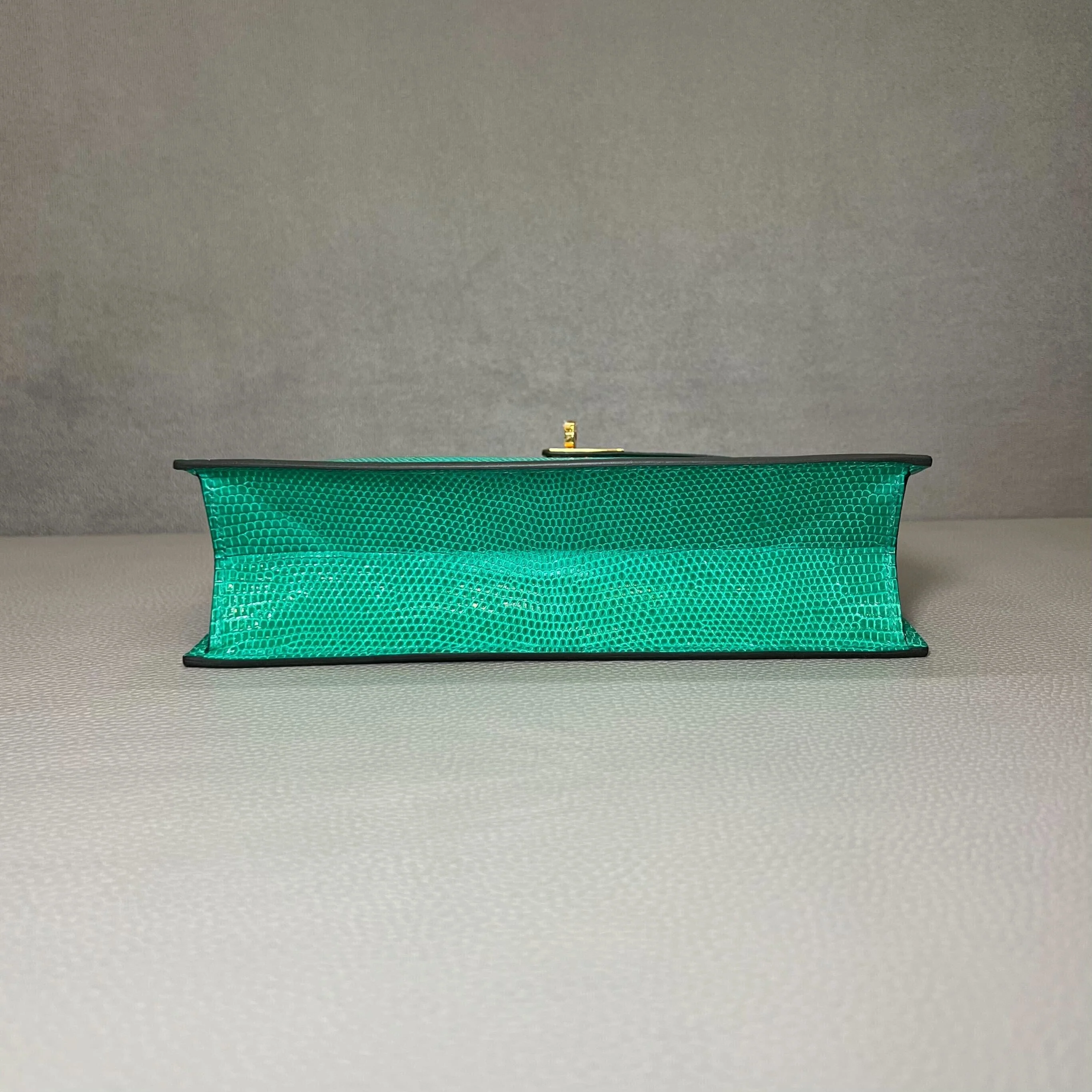 Hermès Menthe Kelly Danse Niloticus Lizard Gold Hardware - Image 7