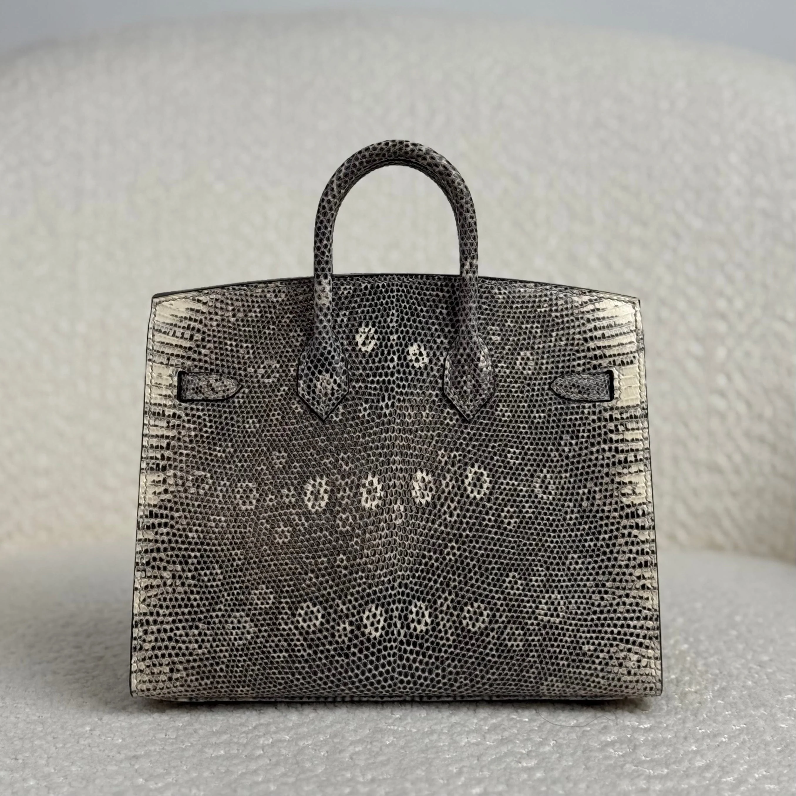 Hermès Ombré Birkin Sellier 20 Varanus Salvator Lizard Palladium Hardware - Image 3
