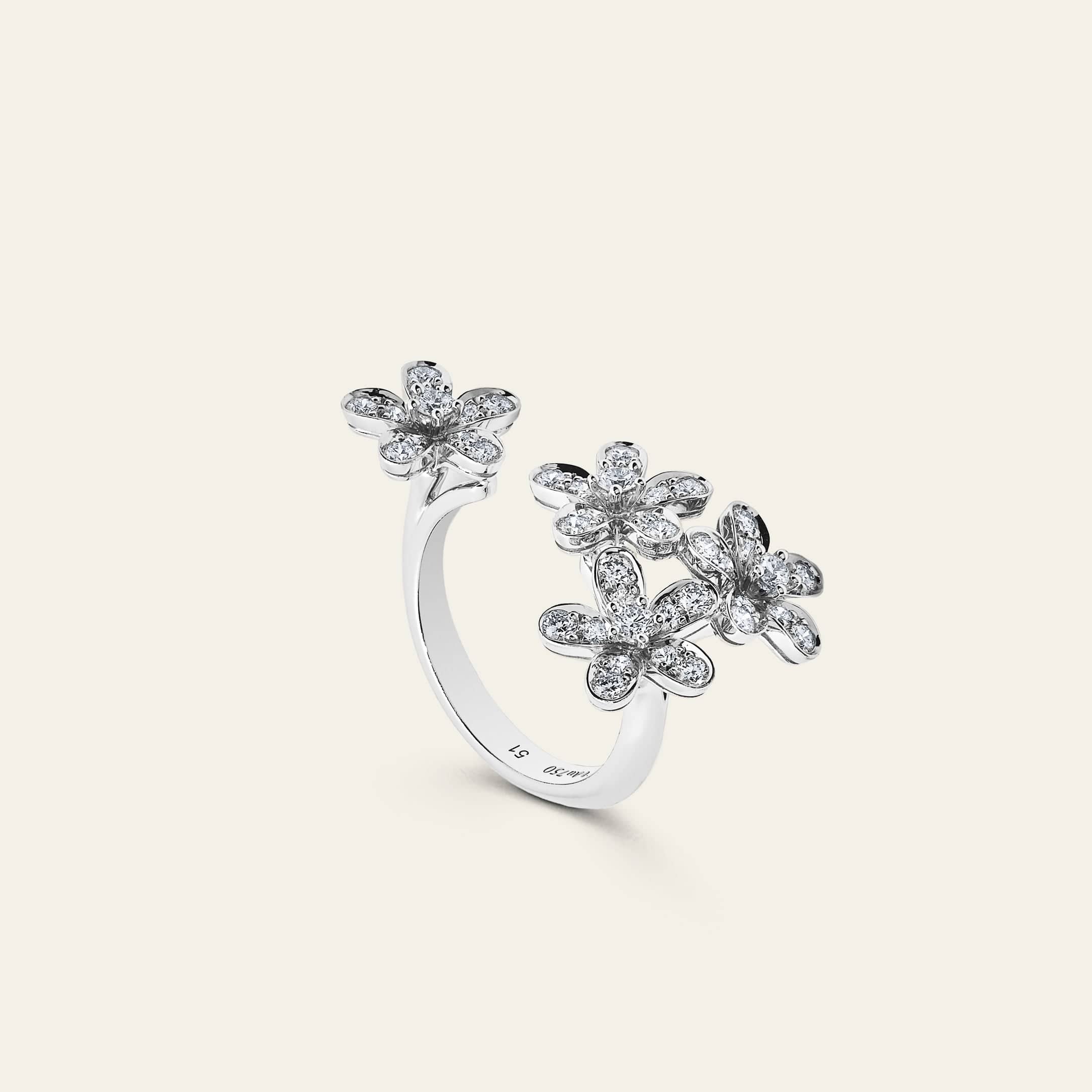 Van Cleef & Arpels Socrate Between the Finger Ring - Image 3